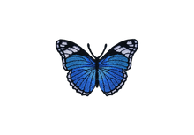 Load image into Gallery viewer, Wings - Solid Embroidered Cami
